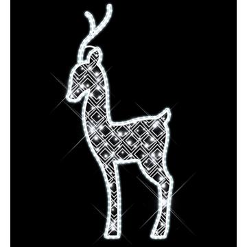 2D RUDOLF