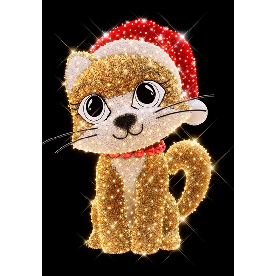 3D CHAT CICUS